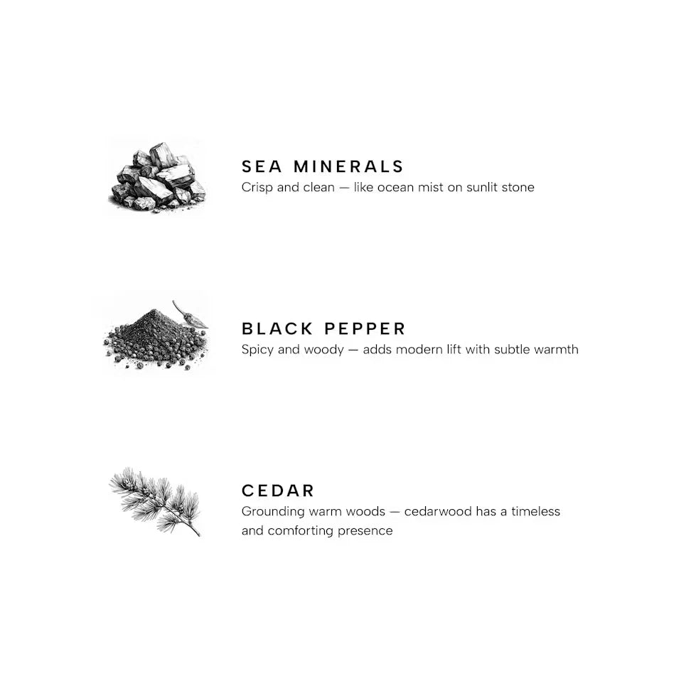 marine-premium-reed-diffuser