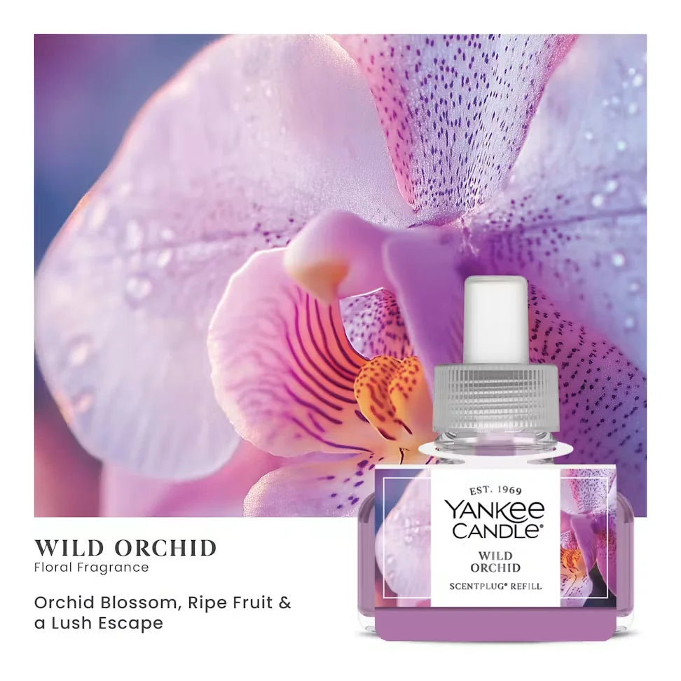 wild-orchid